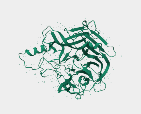 Anti-Mojiang Virus G mAbs