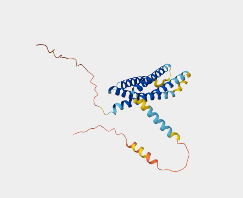 Anti-MS4A4A mAbs