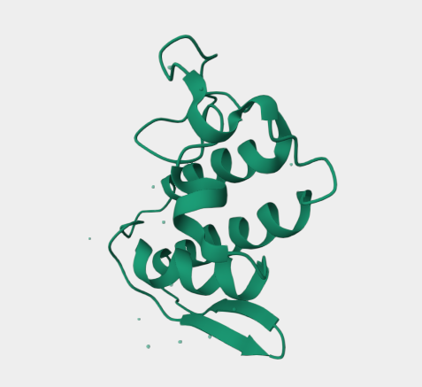 Anti-Myotoxin II mAbs