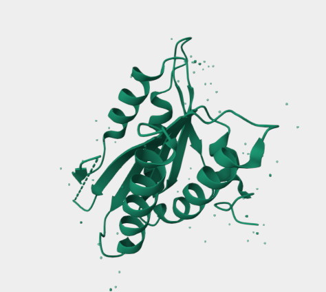 Anti-NADPH oxidase 2 mAbs