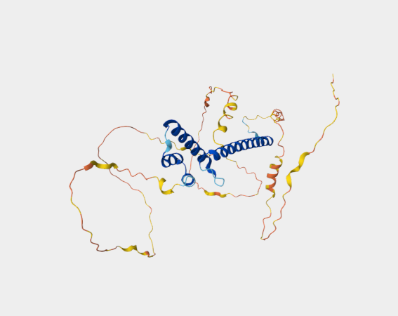 Anti-NEUROD1 mAbs