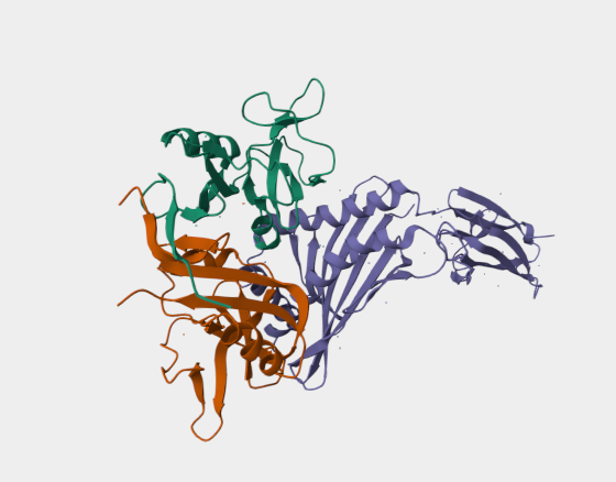 Anti-NKG2D mAbs