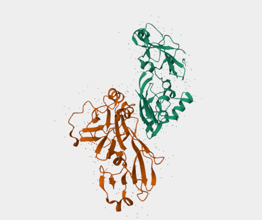 Anti-non-structural protein 4 
