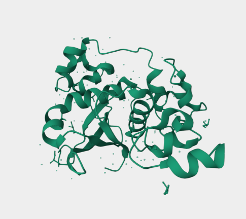 Anti-Notch 2 mAbs