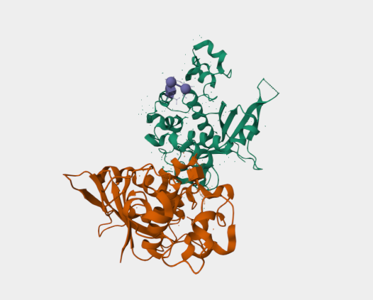 Anti-Notch3 mAbs
