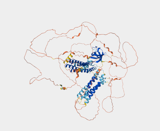Anti-p130/CAS mAbs