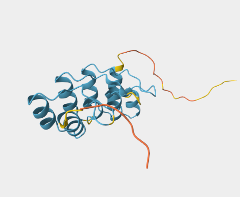 Anti-p16 mAbs