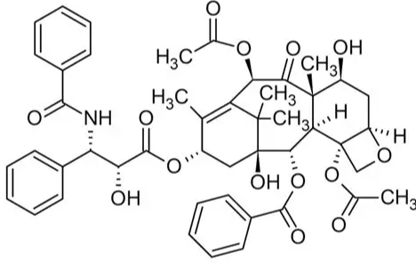 Anti-paclitaxel mAbs