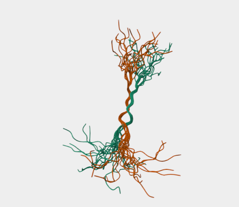Anti-Syndecan 4 mAbs