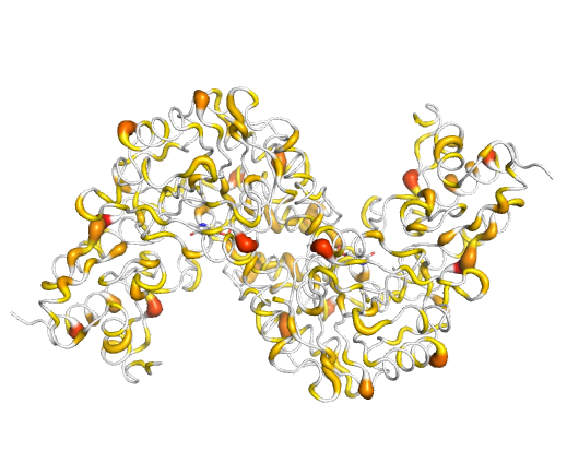 Anti-TAT425 mAbs