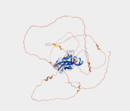 Anti-TBX4 mAbs