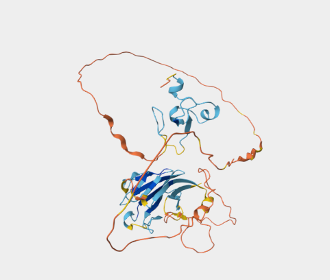 Anti-TCF19 mAbs
