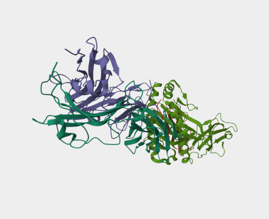 Anti-TCR mAbs