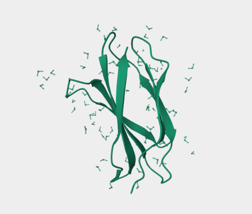 Anti-Tenascin C mAbs