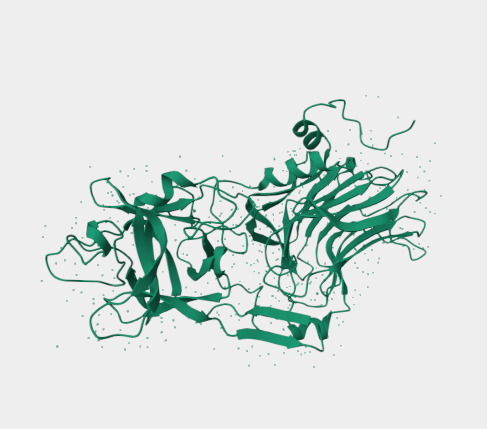 Anti-Tetanus toxoid mAbs