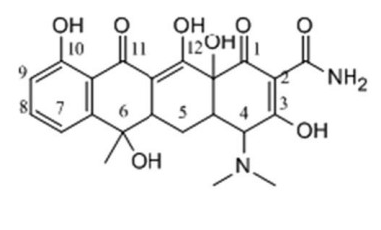 Anti-Tetracycline mAbs