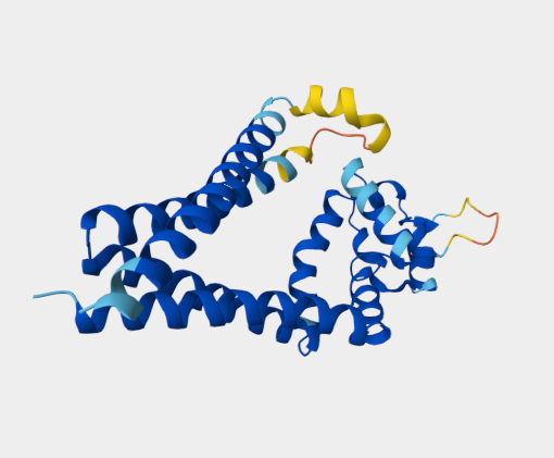 Anti-Tetraspanin 1 mAbs
