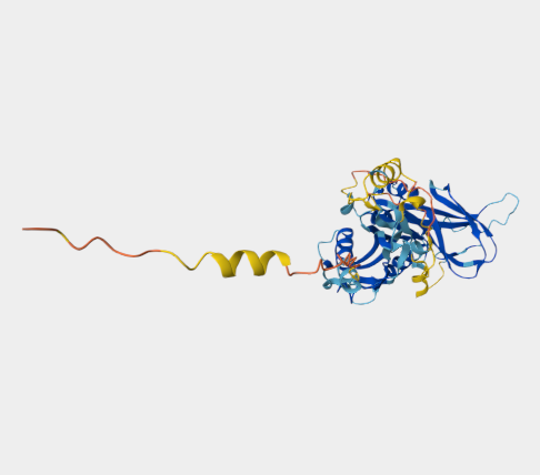 Anti-TGF beta mAbs