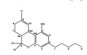 Anti-THC mAbs