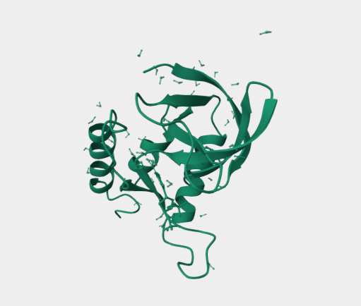 Anti-Thermonuclease mAbs