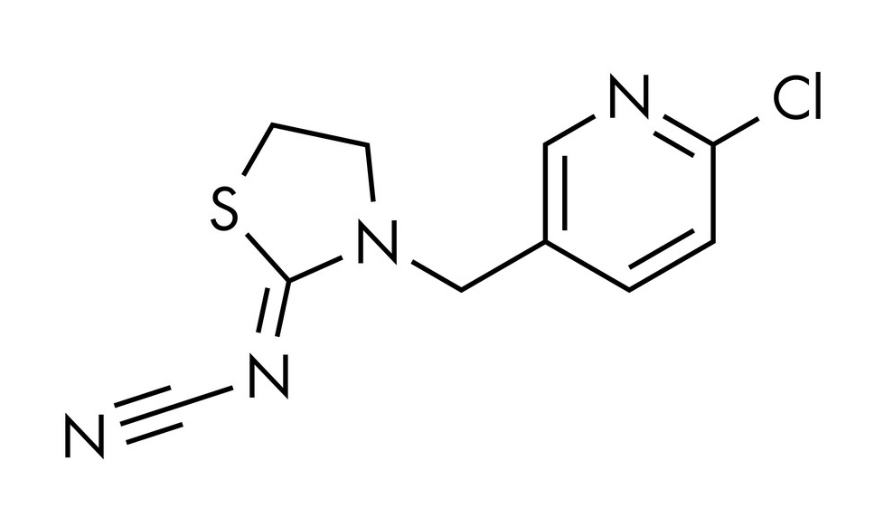 Anti-Thiacloprid mAbs