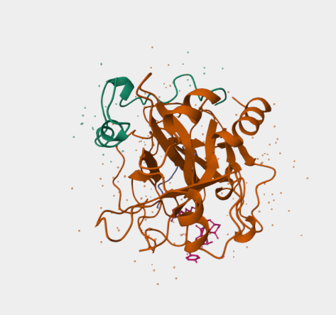 Anti-Thrombin mAbs