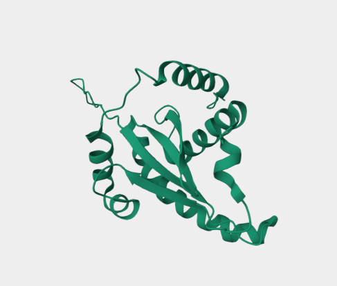 Anti-TNFR1 mAbs