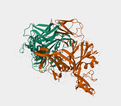 Anti-Tp47 membrane protein mAb
