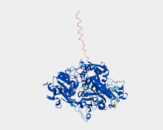 Anti-Transferrin mAbs