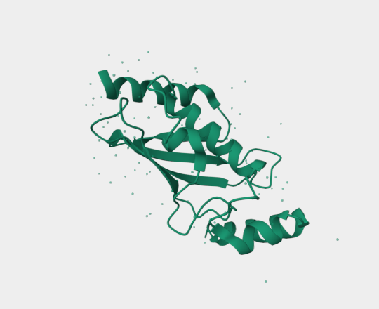Anti-UBE2C mAbs