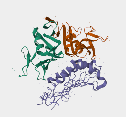 Anti-ULBP3 mAbs