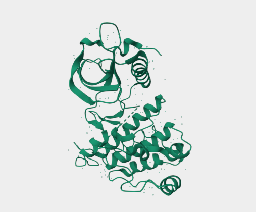 Anti-VEGFR2 mAbs