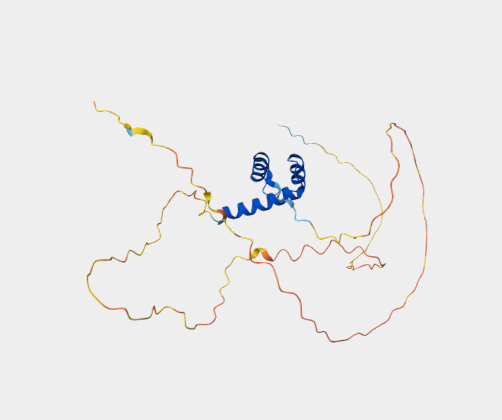Anti-VENTX mAbs