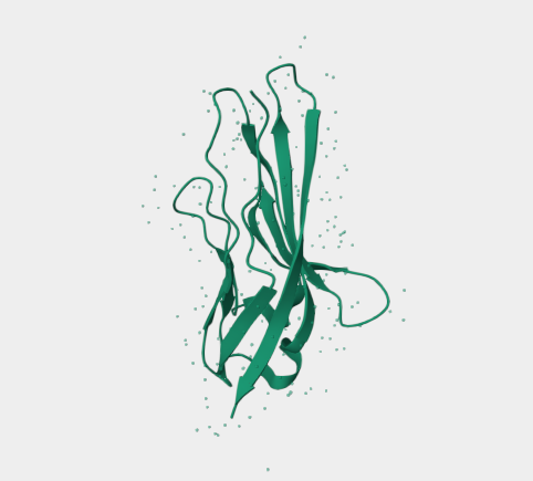 Anti-VSIG4 mAbs