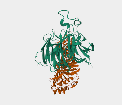 Anti-WDR45 mAbs