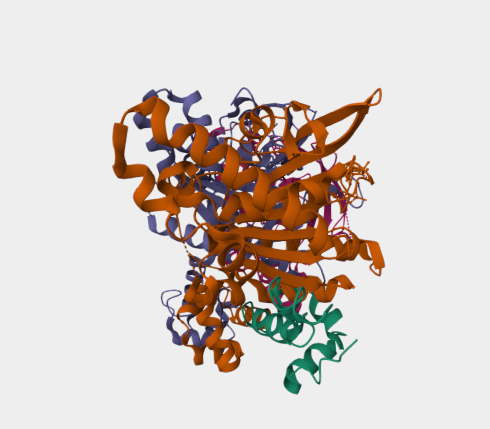 Anti-XRCC3 mAbs