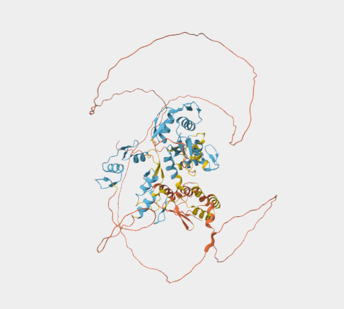 Anti-ZBTB39 mAbs