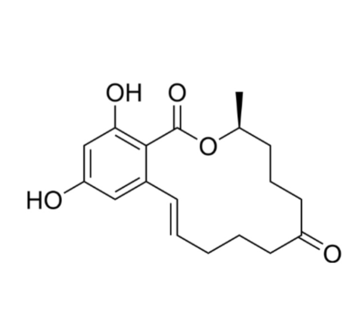 Anti-Zearalenone mAbs