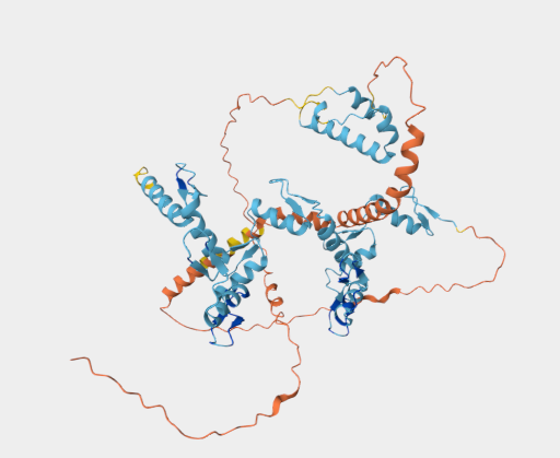 Anti-ZFP69 mAbs