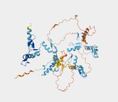 Anti-ZFP90 mAbs