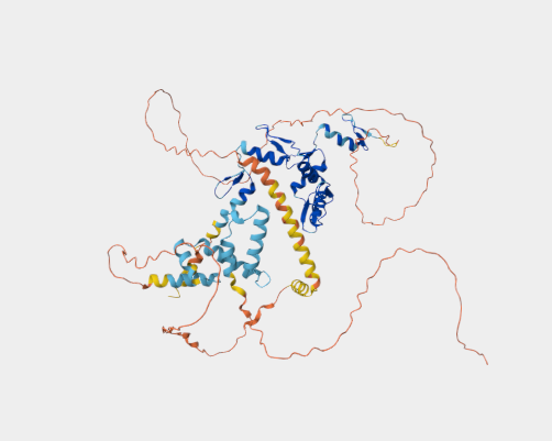 Anti-ZKSCAN1 mAbs