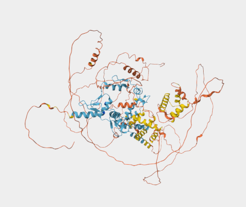 Anti-ZKSCAN2 mAbs