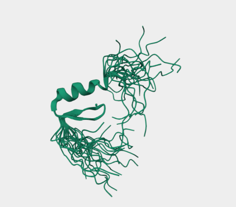 Anti-ZKSCAN5 mAbs