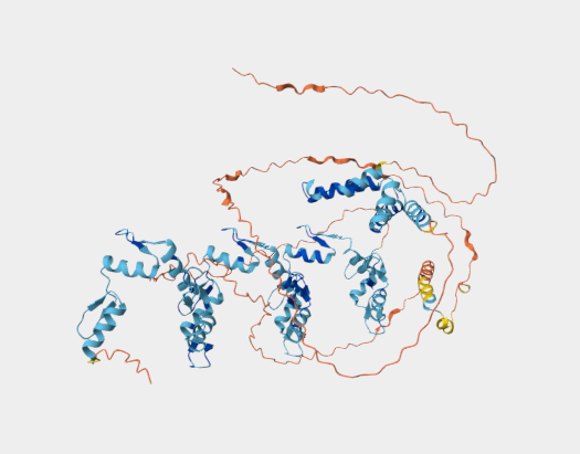 Anti-ZKSCAN7 (ZNF167) mAbs