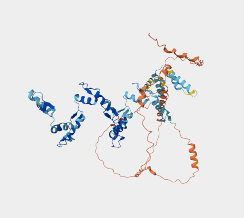Anti-ZKSCAN8 (ZNF192) mAbs