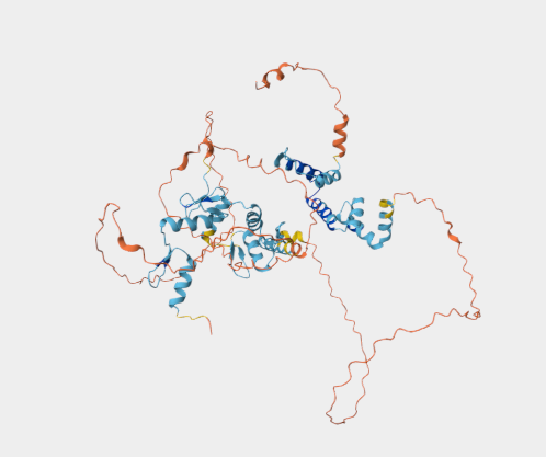 Anti-ZNF18 mAbs