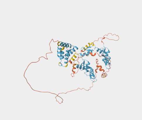 Anti-ZNF449 mAbs