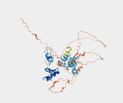 Anti-ZNF500 mAbs