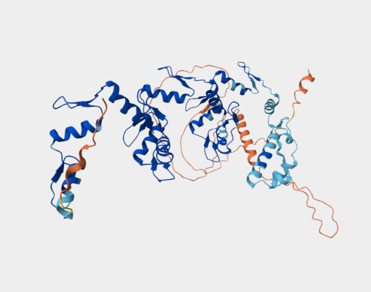 Anti-ZNF570 mAbs