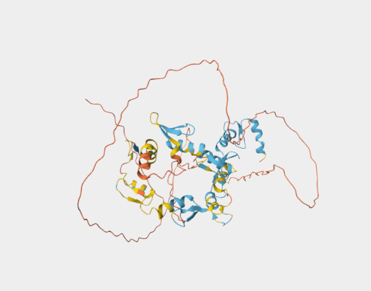 Anti-ZNF639 mAbs